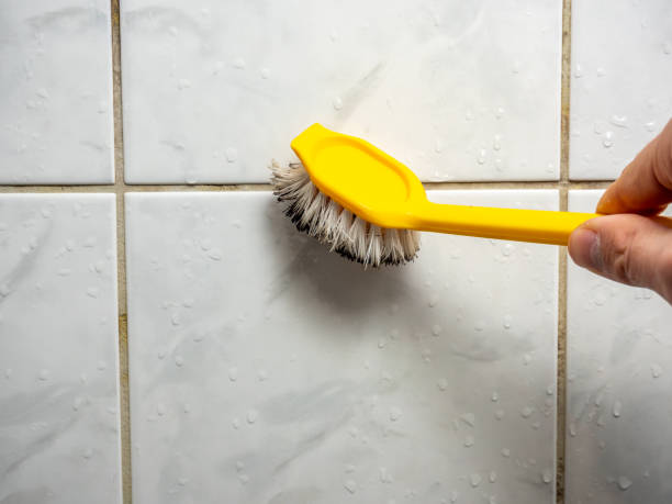 Best Mold Cleaning Services  in Aubrey, TX
