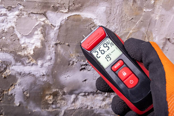  Aubrey, TX Mold Removal Pros