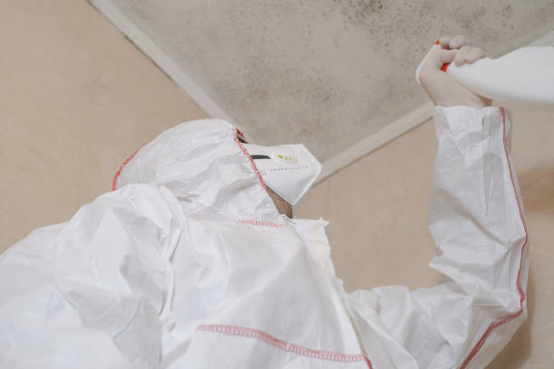 Best Mold Testing  in Aubrey, TX