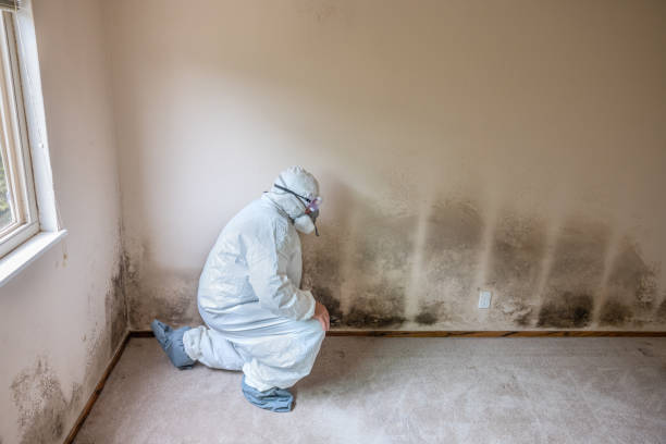Best Mold Cleaning Services  in Aubrey, TX