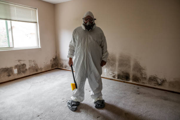 Best Local Mold Removal Service  in Aubrey, TX