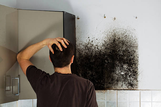 Best Professional Mold Removal  in Aubrey, TX